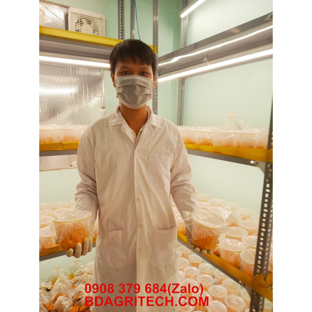 [NÓI KHÔNG VỚI HÀNG NHÁI TỪ TQ] Đông Trùng Hạ Thảo BDAGRI SẤY KHÔ THĂNG HOA LOẠI II (LỌ 20G) - Nuôi trồng tại Việt Nam | BigBuy360 - bigbuy360.vn