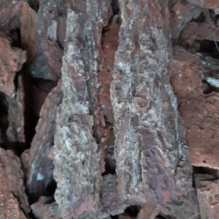 1kg vỏ thông trồng lan