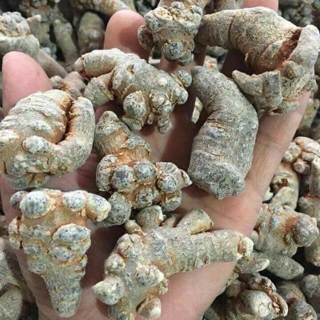 500g củ tam thất bắc