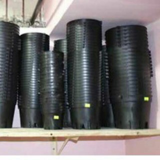 Combo 10 chậu trồng lan size 18 kèm 10 mốc treo