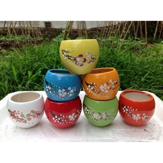 Chậu sứ hoa trồng cây cảnh, sen đá