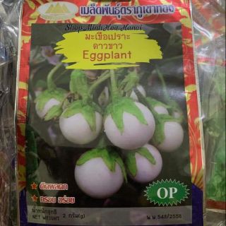 HẠT GIỐNG CÀ PHÁO TRẮNG CHÙM  THÁI LAN