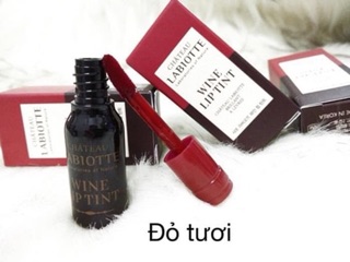 Son mini tint labiotte