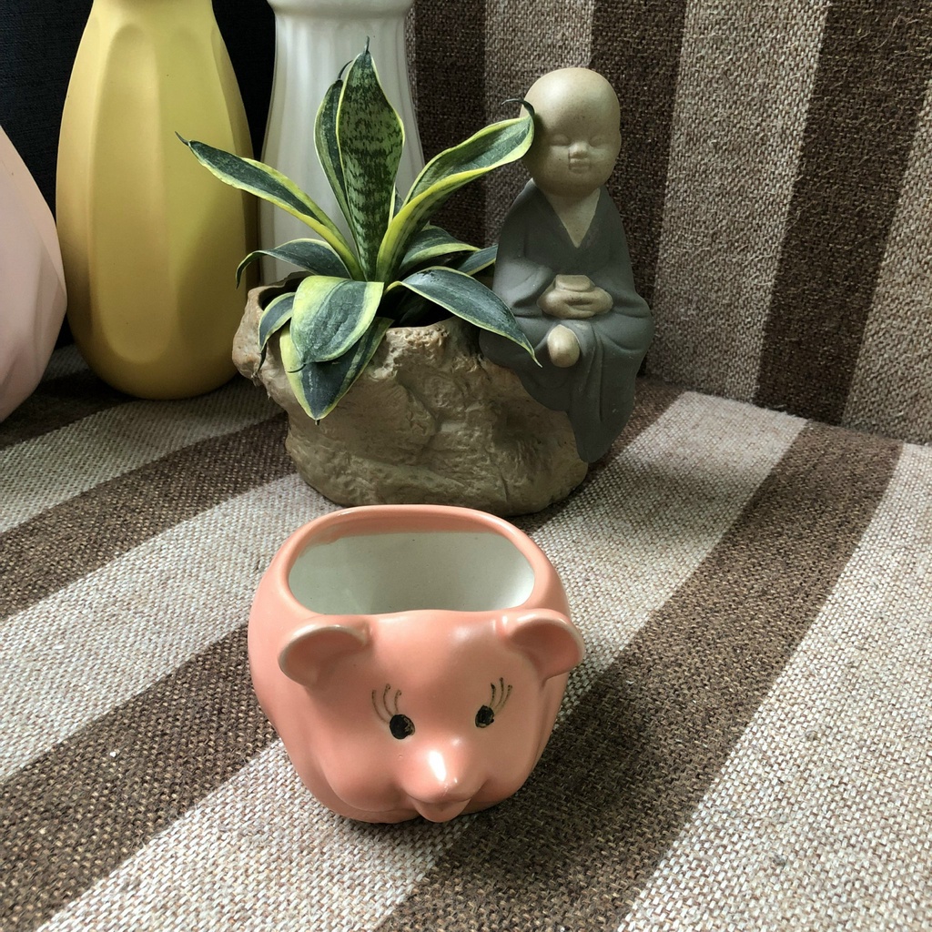 CHẬU TRỒNG SEN ĐÁ HÌNH CHUỘT - CHẬU BONSAI MINI DECOR - CHẬU TRỒNG CÂY CẢNH HÌNH THÚ CƯNG - XƯƠNG RỒNG - SỨ BÁT TRÀNG
