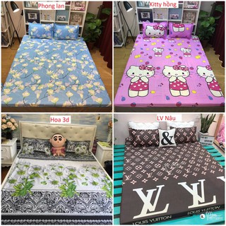 Ga gối poly cotton (nhiều mãu lựa chọn)