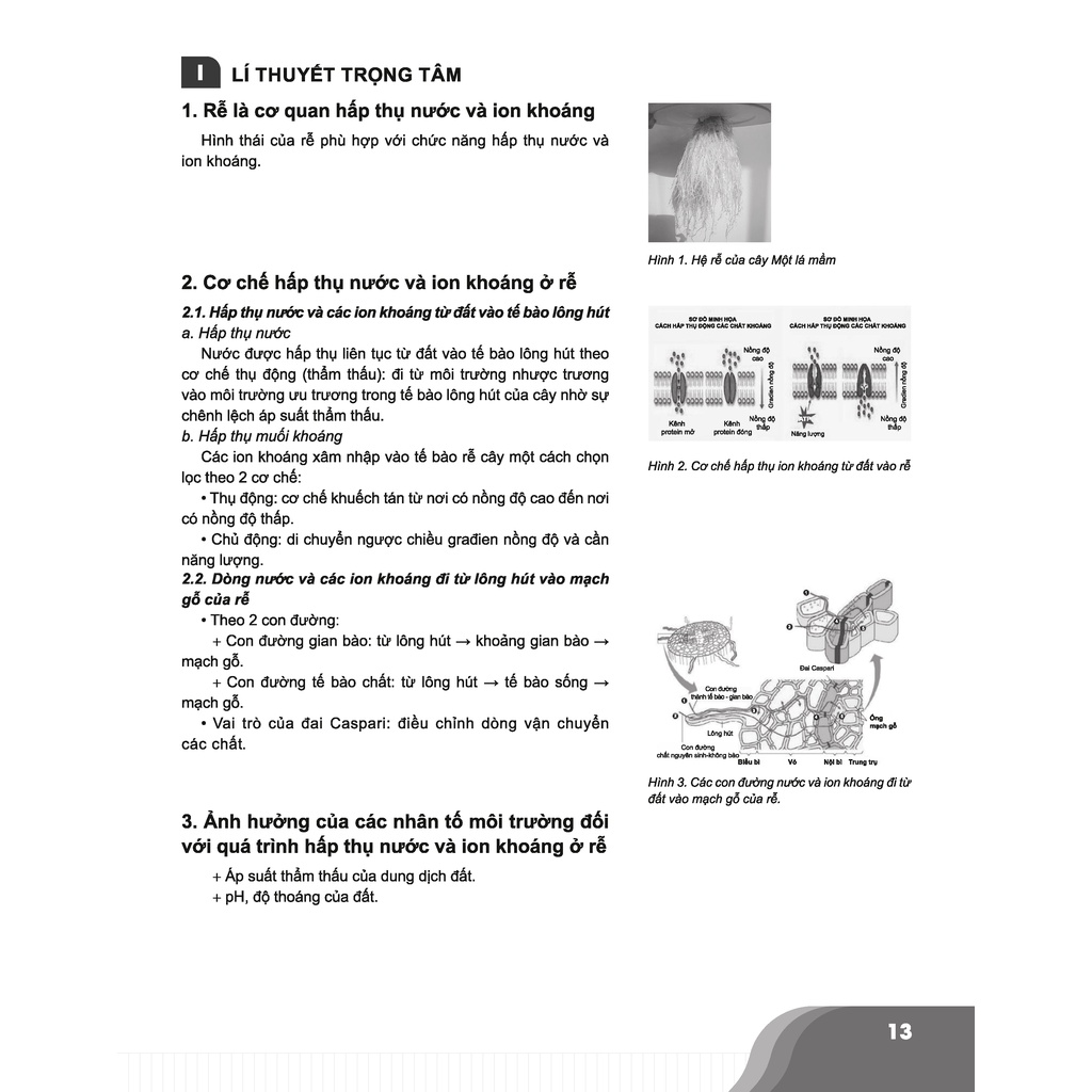 Sách - Bí quyết chinh phục điểm cao Sinh học 11 - Tham khảo lớp 11 - Siêu tiết kiệm - Chính hãng CCbook