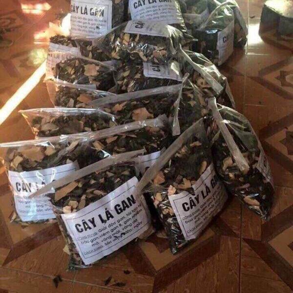 Lá mát gan thải độc