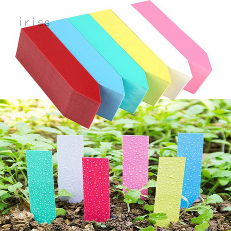 100pcs 10x2cm Labels Garden Labels Plant Labels