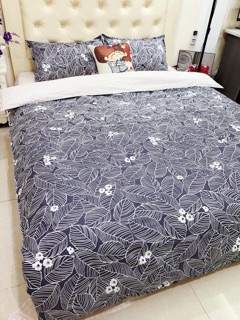 SET CHĂN GA GỐI COTTON LỤA DEMI