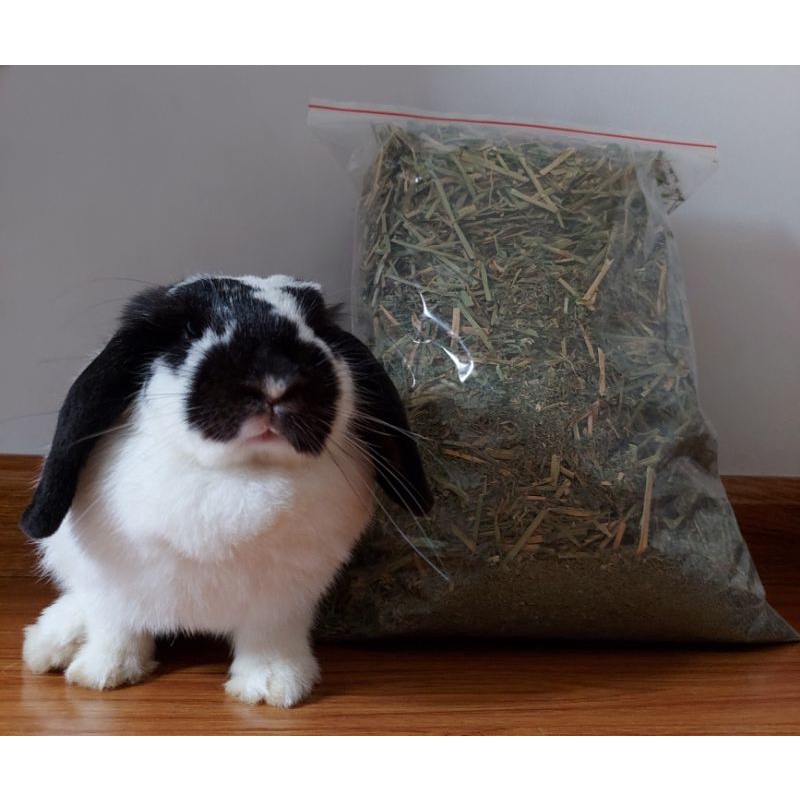 Cỏ khô Alfalfa dành cho thỏ, bọ