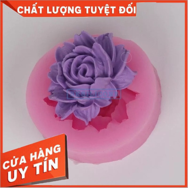 Khuôn rau câu silicon 4D Hồng nghiêng Mã HL1D3K ( Đồ dùng làm bánh )