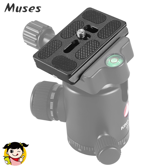 Đế gắn máy ảnh Ex-Pro PU60 60x40mm vào giá đỡ ba chân đầu tròn lắp đặt nhanh chóng