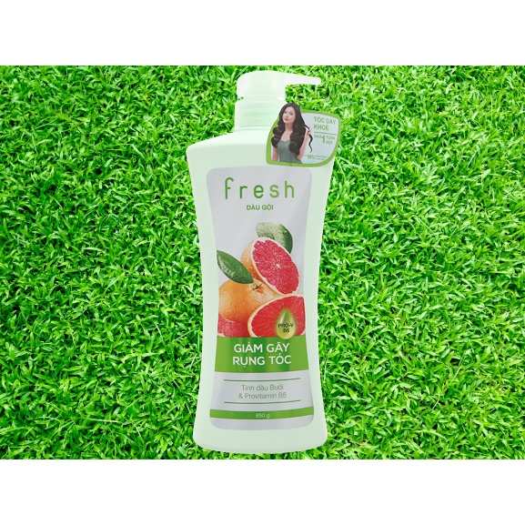 Dầu gội xả Fresh tinh dầu Bưởi giảm gãy rụng tóc 650g