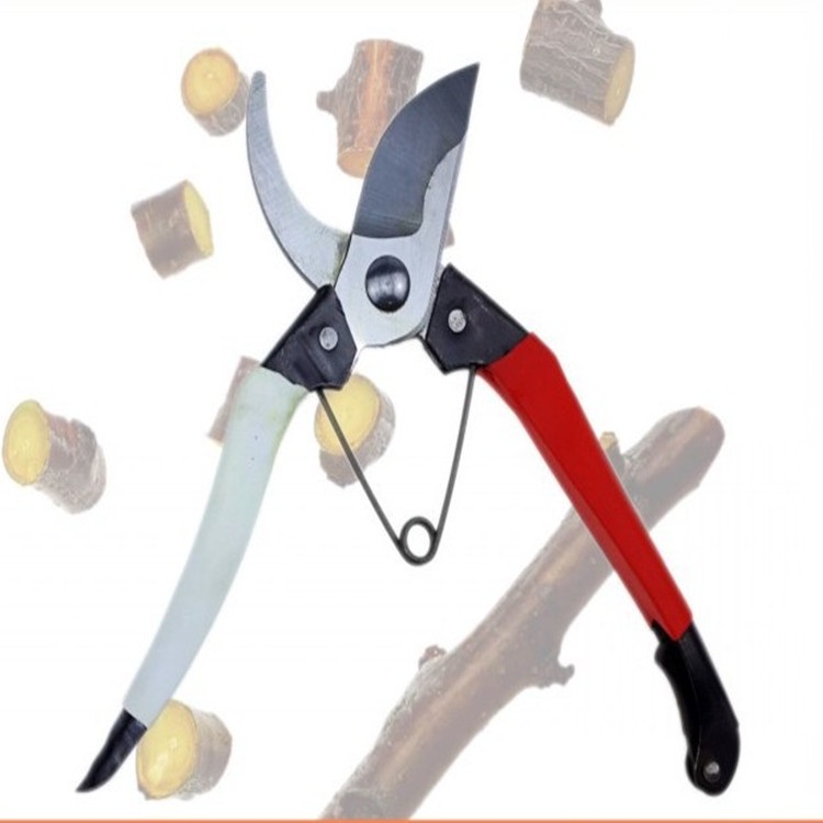 Kéo tỉa cành MN01 dành cho cây cảnh của bạn - DEVELOPE