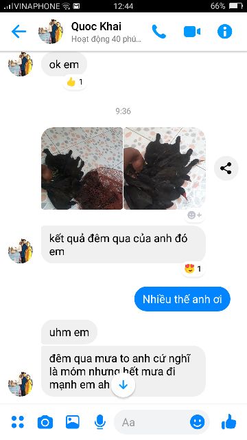 Lưới TÀNG HÌNH G=à đồng, quốc, trích dài 30M - 50m Cao5M