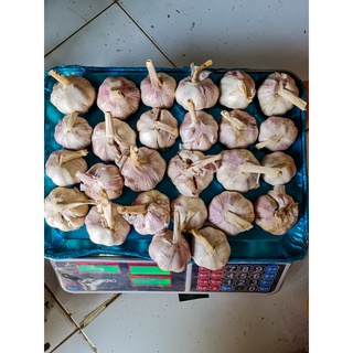 Tỏi củ 1kg