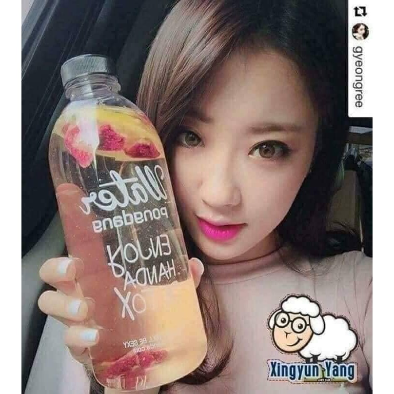 Bình nước Detox Water Pong Dang 1L kèm túi đựng