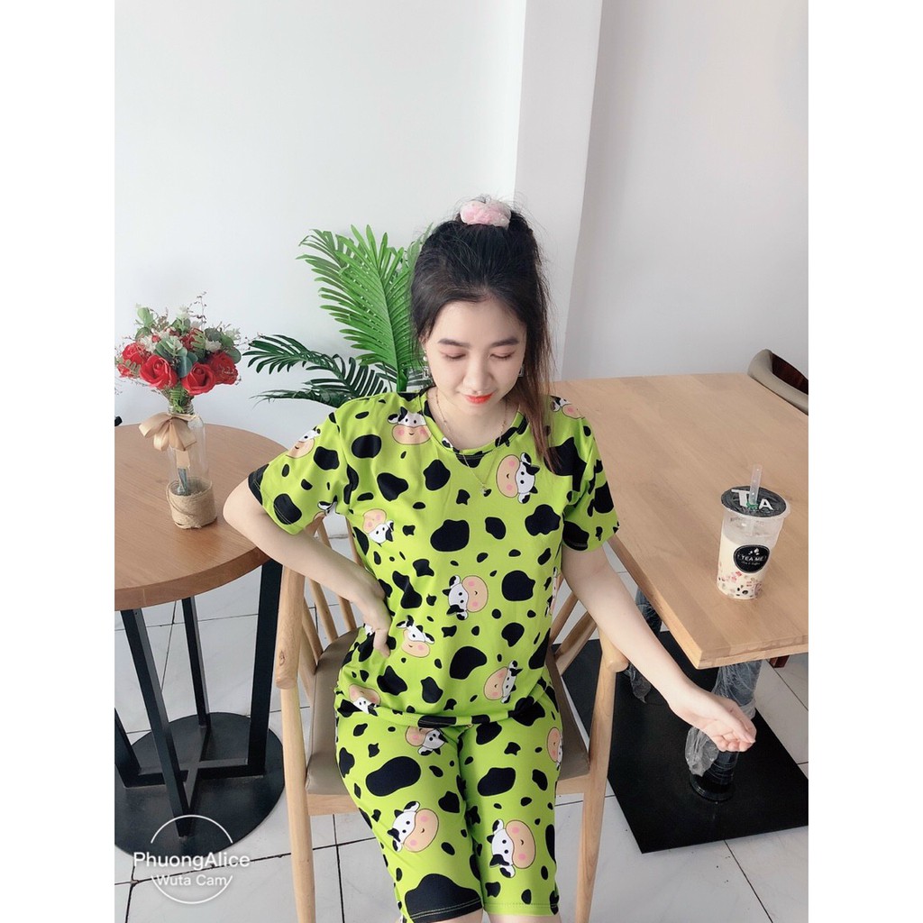 Bộ đồ mặc nhà hình bò sữa siêu dễ thương, thun cotton freesize dưới 57kg | BigBuy360 - bigbuy360.vn