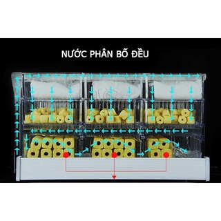 Máng Lọc dàn mưa Tràn Trên 3 Tầng Cho Bể Cá Cảnh