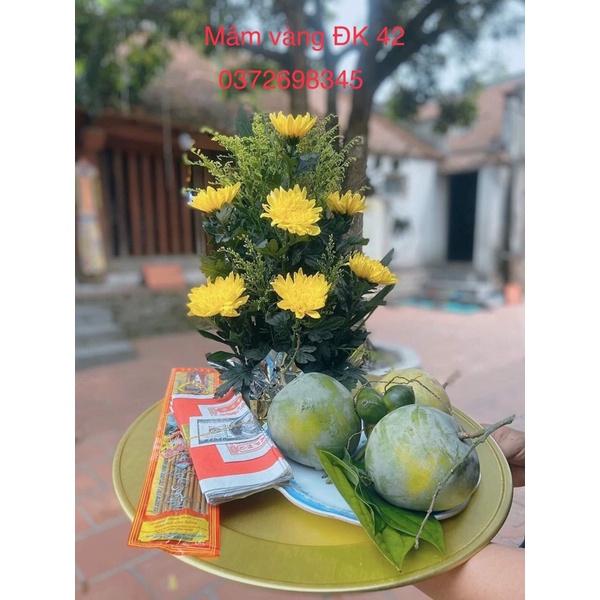Mâm vàng ĐK 42 công nghệ anode nhật bản, không bay màu, không xỉn màu, rỉ sét, sang trọng, bền đẹp, sáng bóng