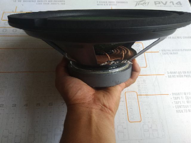 Loa bass rời 25cm màn xanh