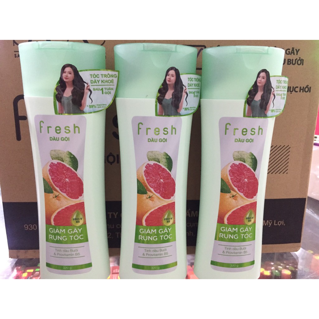 Dầu gội fresh 320g