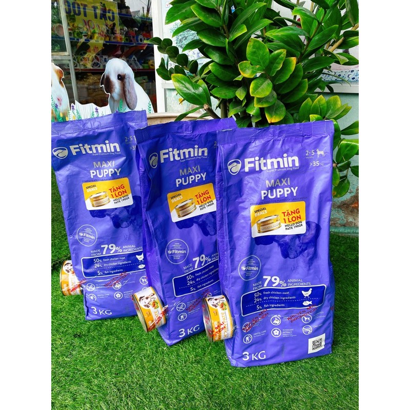 [Tăng kèm pate] Thức ăn hạt FITMIN Maxi Puppy 3kg