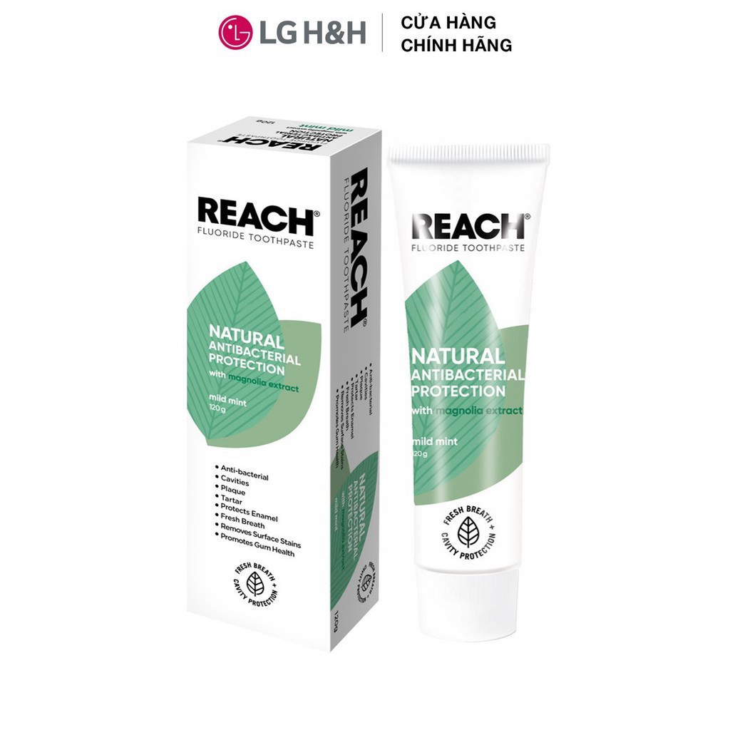 Combo 3 Kem đánh răng kháng khuẩn Reach Flouride Mild Mint Hương Dịu Nhẹ