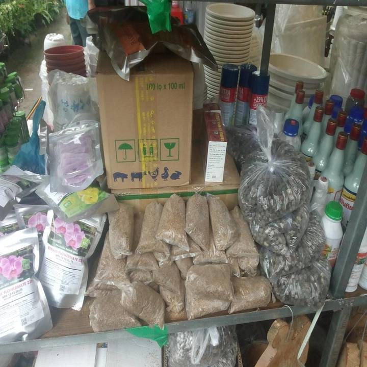 Thuốc Kích rễ giải độc hoa kỳ Roots 2 100ml