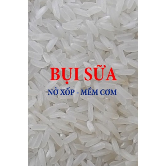 Gạo Bụi Sữa Nở Xốp, Mềm Cơm 5Kg _ Gò Vấp