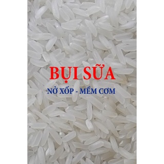 Gạo Bụi Sữa Nở Xốp, Mềm Cơm 5Kg _ Gò Vấp