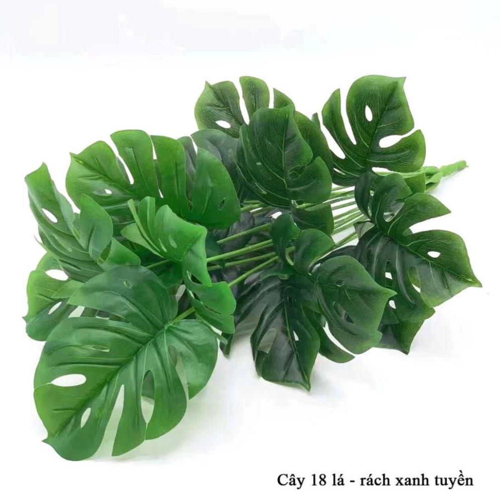 Cây Giả - Cây trầu bà, vạn niên thanh 18 Lá Cỡ To 90cm