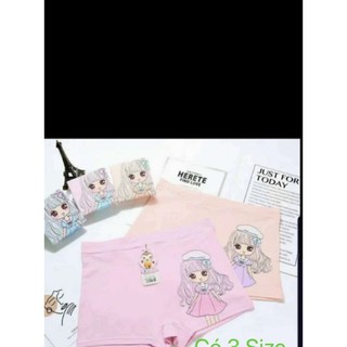 Combo 5 quần chip đùi bé gái cotton phối màu