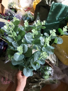 Cụm lá táo to