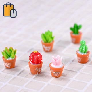 1 Cây Xương Rồng Dễ Thương Trang Trí Tiểu Cảnh