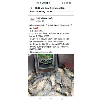 Mồi câu cá thương hiệu Gold. combo 4 gói