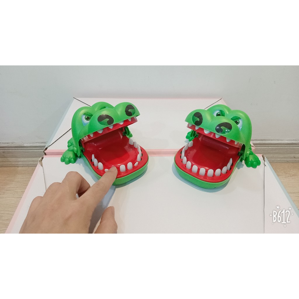 Cá sấu cắn tay loại to