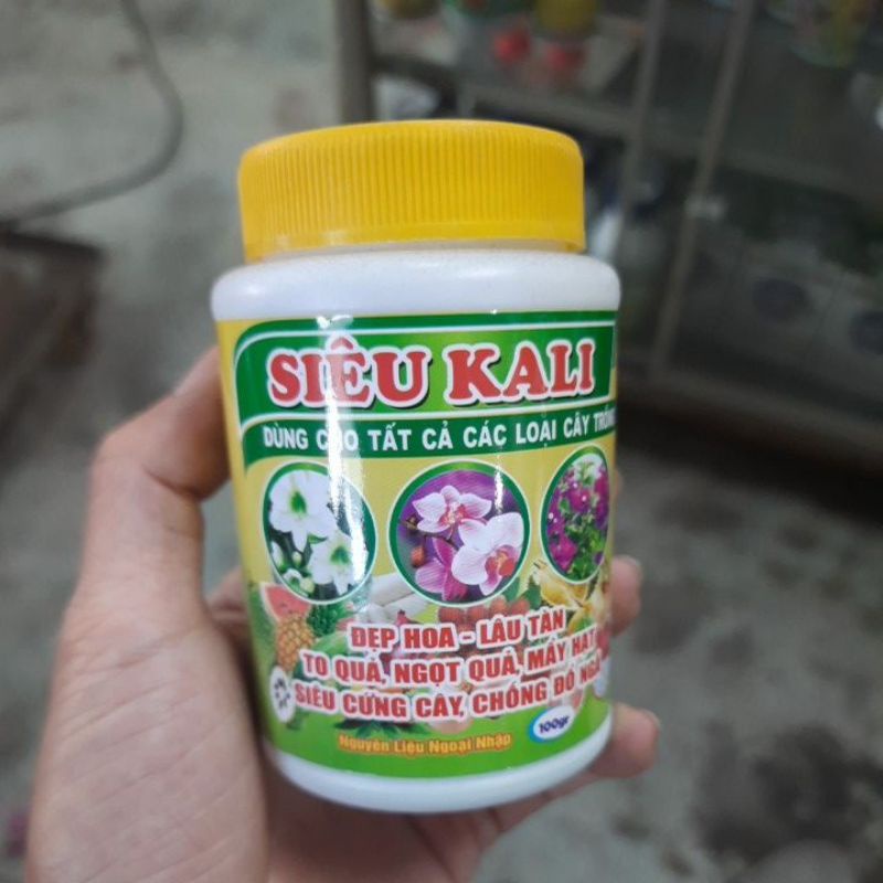 Siêu Magie chống vàng lá, xoăn đọt, Siêu Kali giúp hoa lâu tàn, quả to, ngọt