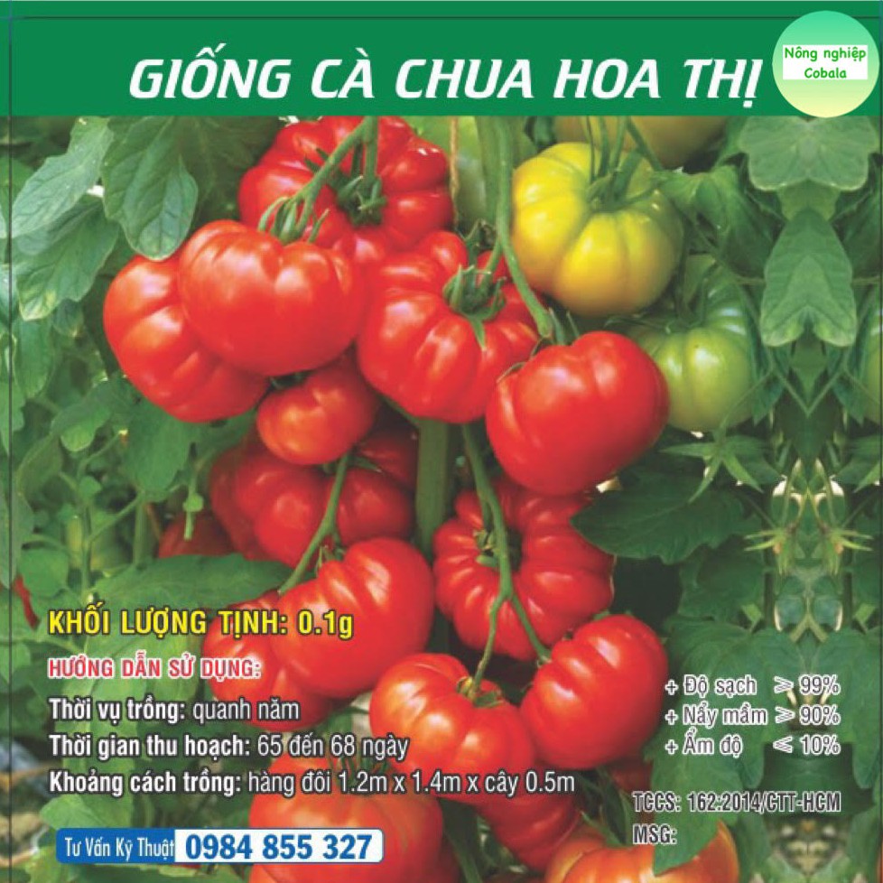 Hạt Giống Cà Chua Hoa Thị 0.1gr