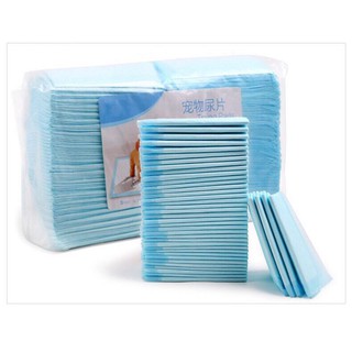 MIẾNG LÓT KHAY VỆ SINH CHO CHÓ