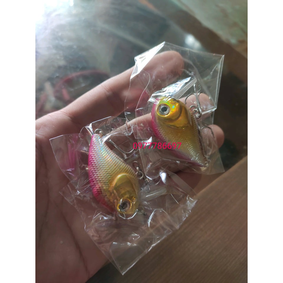 Mồi cá voi lưng gù