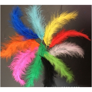 Gói 15 lông vũ mềm mịn dài 10-15cm