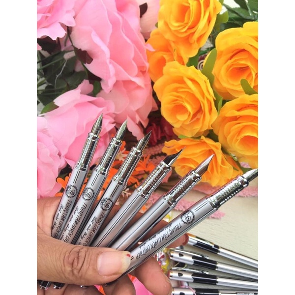 Bút máy luyện chữ đẹp  B75 ngòi mài, êm trơn tặng 1 ngòi , phù hợp với tất cả các lớp 1- 2- 3- 4- 5🌺