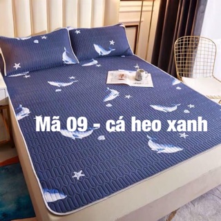 Chiếu điều hoà cao su non 2D
