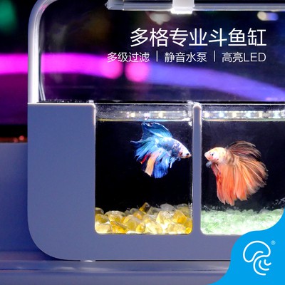 Bể cá betta acrylic 5 ngăn sang trọng hiện đại 10