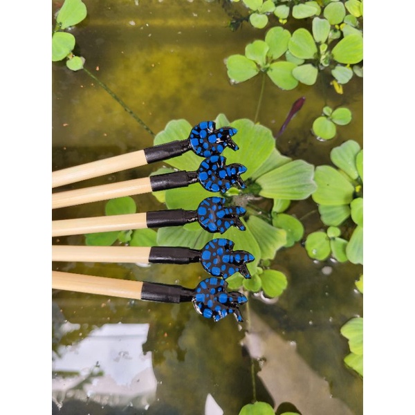 CÂY KÈ CÁ BETTA