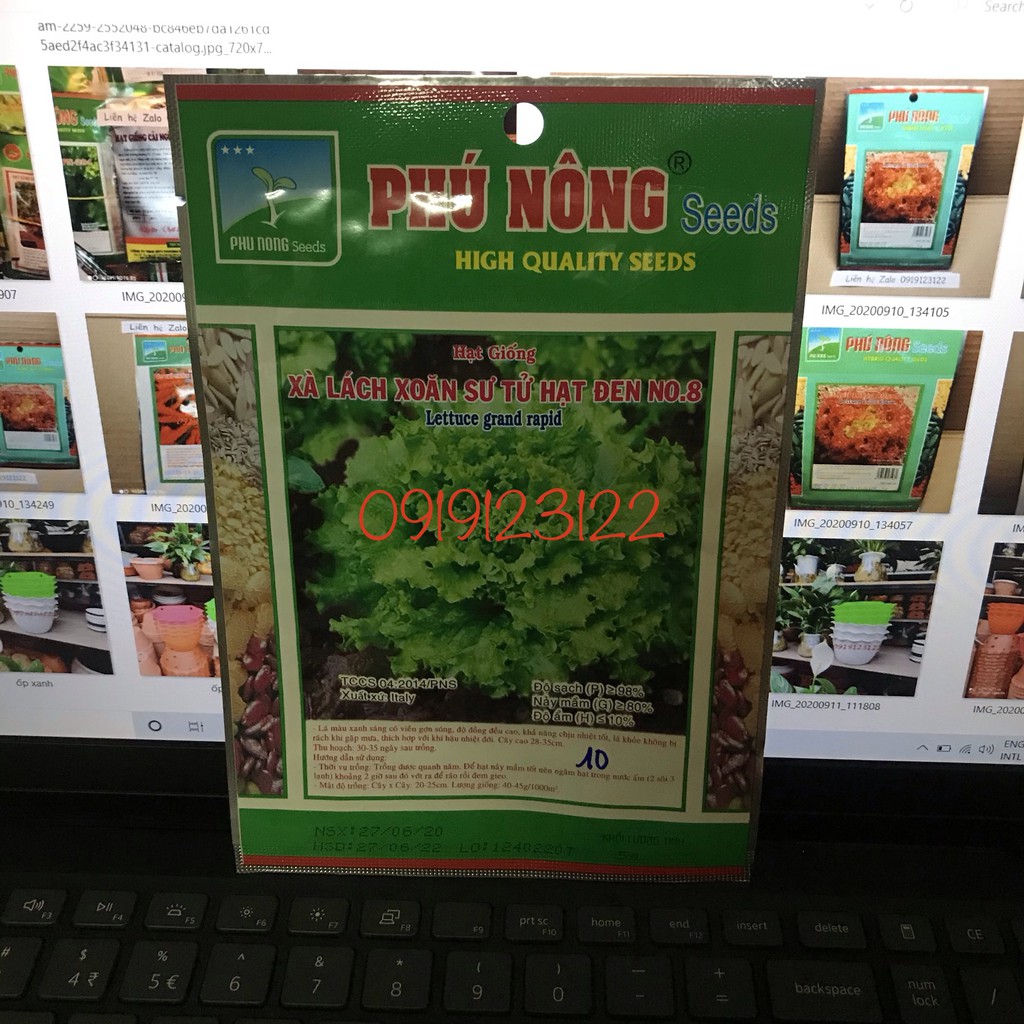 HẠT GIỐNG XÀ LÁCH XOĂN SƯ TỬ HẠT ĐEN