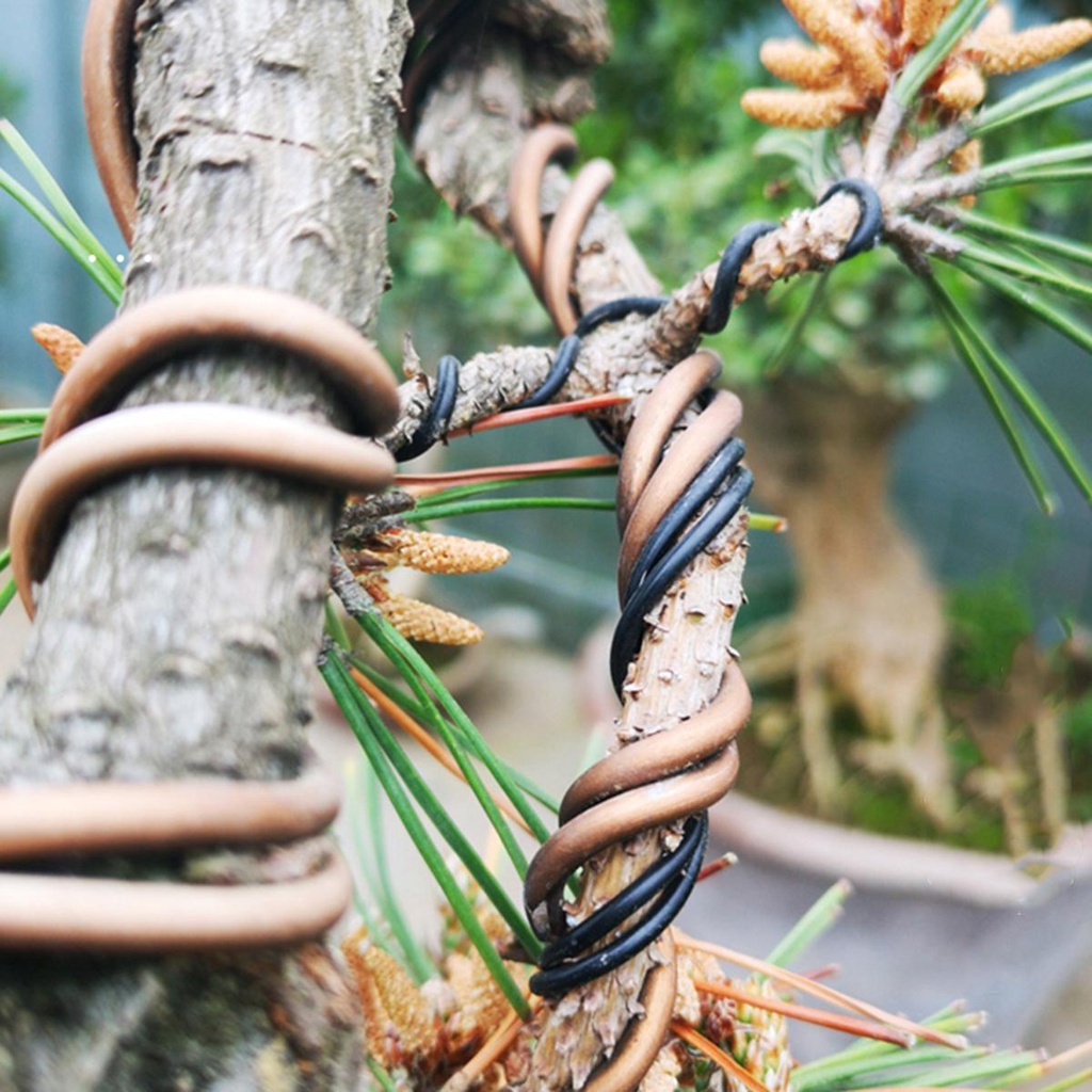 NICKOLAS 9 Cuộn Dây Cột Cây Cảnh 1mm 1.5mm 2mm
