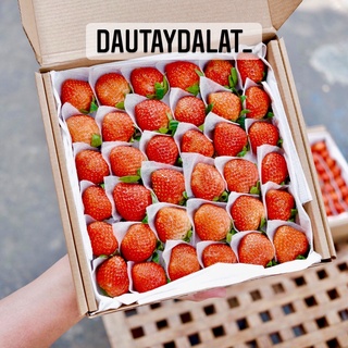 [Ship TP.HCM] Dâu tây Hàn 500g tặng muối xí muội chua ngọt siêu ngon (hình shop tự chụp)