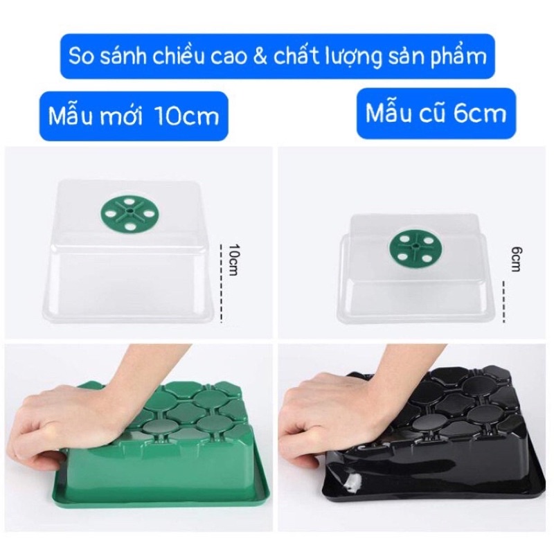 Sét 5 bộ khay ươm 6 và 12 lỗ nắp cao 10cm có nắp điều chỉnh